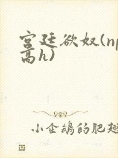 宫廷欲奴(np高h)