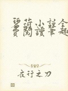 碧荷小说全文免费阅读笔趣阁