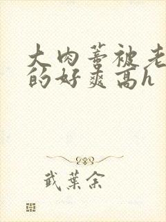 大肉蒂被老头嘬的好爽高h