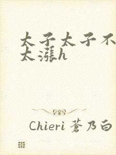 太子太子不要了太涨h