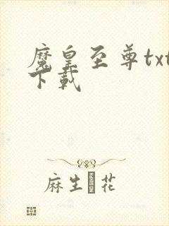 魔皇至尊txt下载