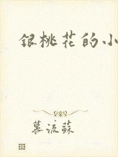 银桃花的小说