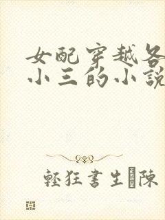 女配穿越各个做小三的小说