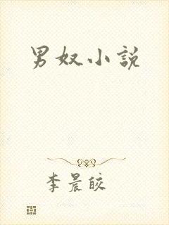 男奴小说