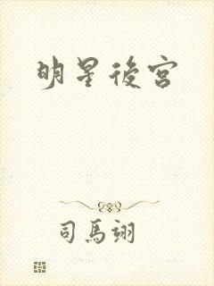 明星后宫