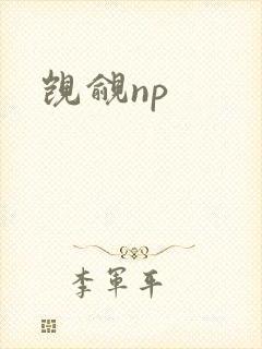 觊觎np
