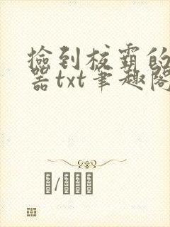 捡到校霸的遥控器txt笔趣阁