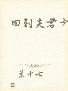 回到夫君少年时