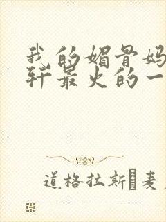 我的媚骨妈妈林轩最火的一句