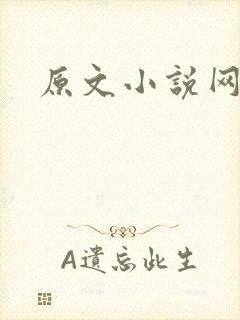原文小说网