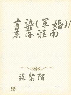 有染(军婚)/叶落淮南