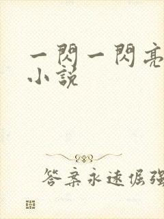 一闪一闪亮星星小说