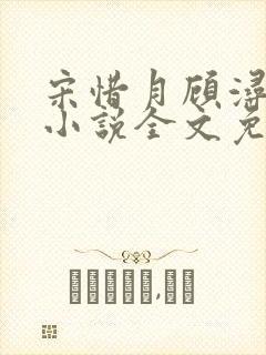 宋惜月顾浔渊的小说全文免费阅读