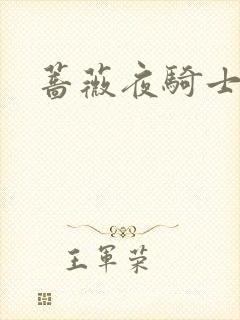 蔷薇夜骑士