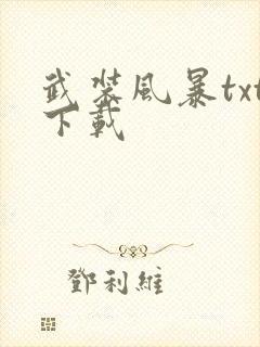 武装风暴txt下载