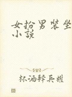 女扮男装坐江山小说