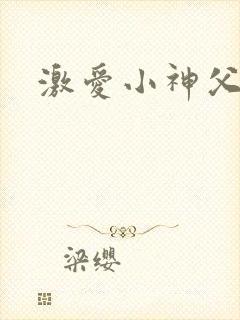 激爱小神父