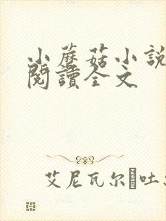 小蘑菇小说免费阅读全文