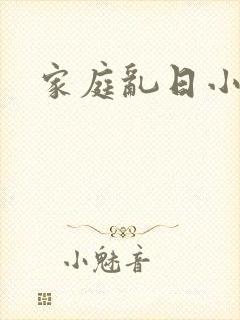家庭乱日小说