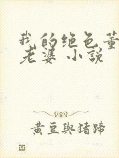 我的绝色董事长老婆 小说