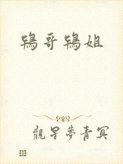 鸨哥鸨姐
