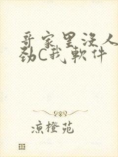 哥家里没人使点劲C我软件