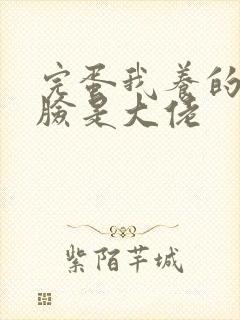 完蛋我养的小白脸是大佬