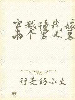 穿越后我嫁给了两个男人暮色酒歌