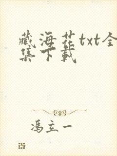 藏海花txt全集下载
