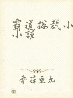 霸道总裁小娇妻小说