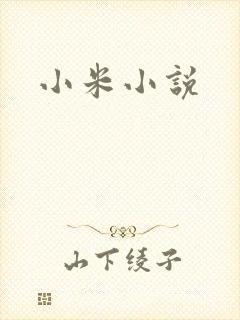小米小说