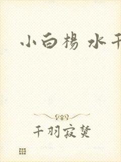 小白杨 水千丞