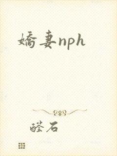 娇妻nph