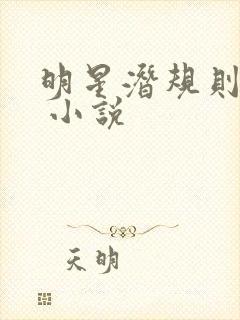 明星潜规则之皇 小说