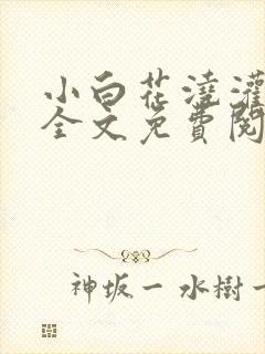 小白花浇灌日常全文免费阅读