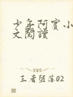 少年阿宾小说全文阅读