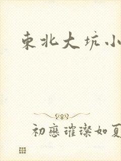 东北大坑小说