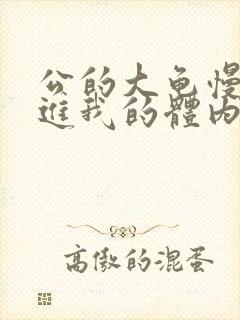 公的大龟慢慢挺进我的体内