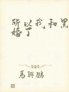 所以我和黑粉结婚了