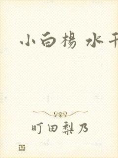 小白杨 水千丞
