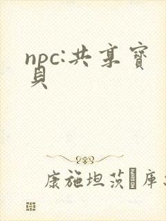 npc:共享宝贝
