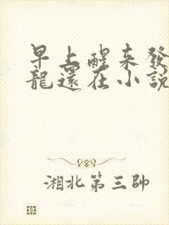 早上醒来发现巨龙还在小说