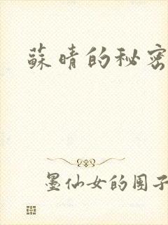 苏晴的秘密小说