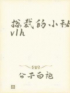 总裁的小秘书1v1h