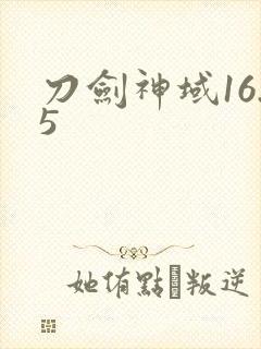刀剑神域16.5
