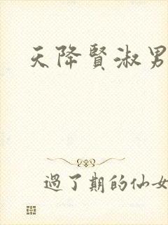 天降贤淑男小说
