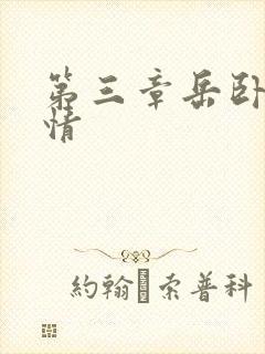 第三章岳卧室激情