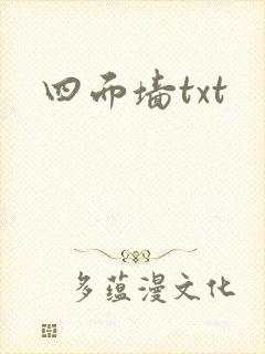 四面墙txt