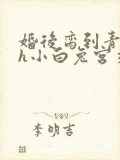 婚后脔到青梅哭h小白兔宫交h