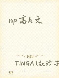 np高h文